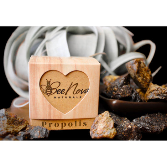 Propolis from Caucasus Mountains, from Jara.
